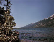 The Grand Tetons - Triptych - Left Panel